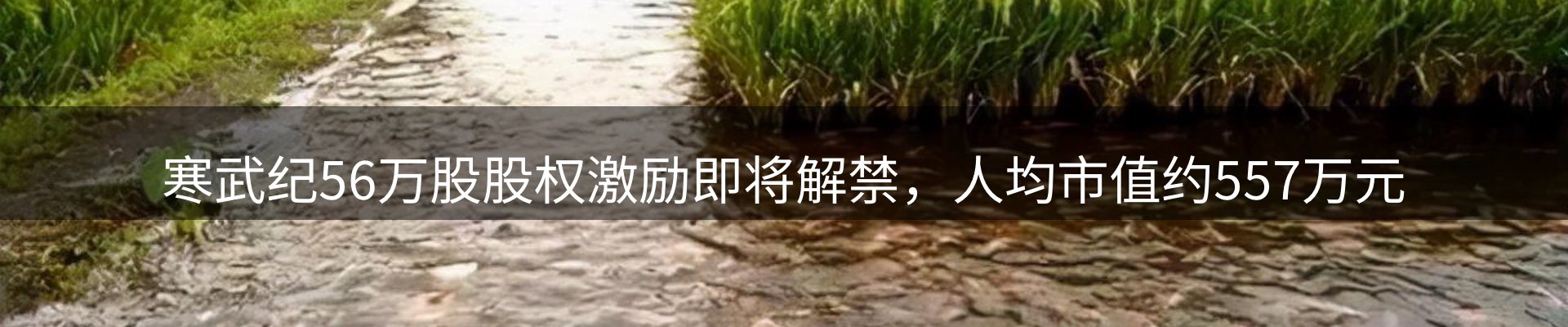 资讯指南